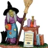 42213 - Spells, Potions & More - Lemax Spooky Town Halloween Village Figurines