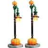 74217 - Witch Pumpkin Patch, Set Of 2, Battery-Operated (4.5V) - Lemax Spooky Town Accessories
